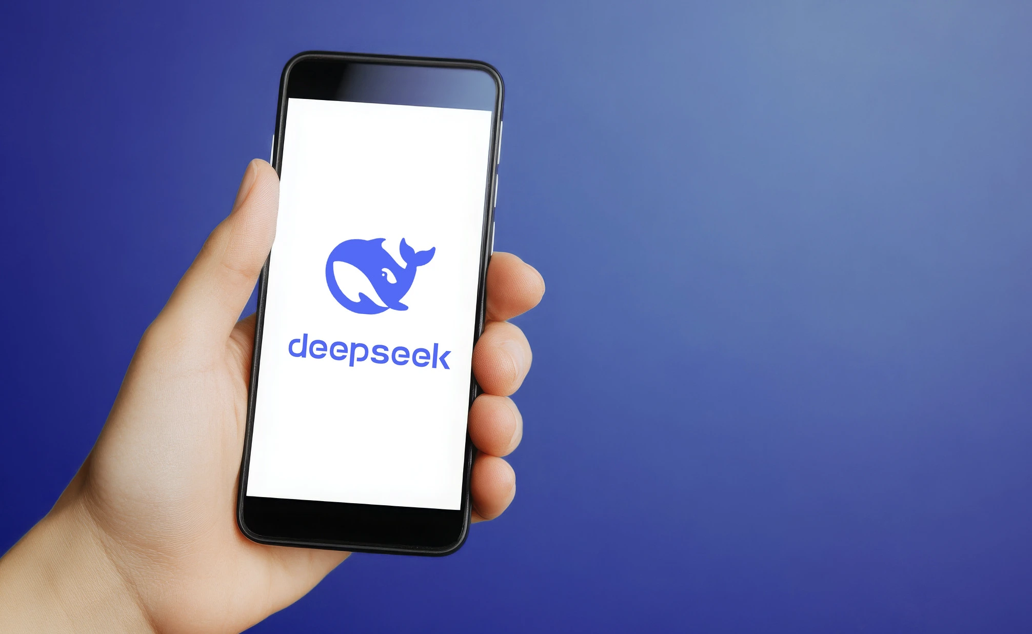 이탈리아, 개인정보 보호 우려로 DeepSeek 챗봇 차단