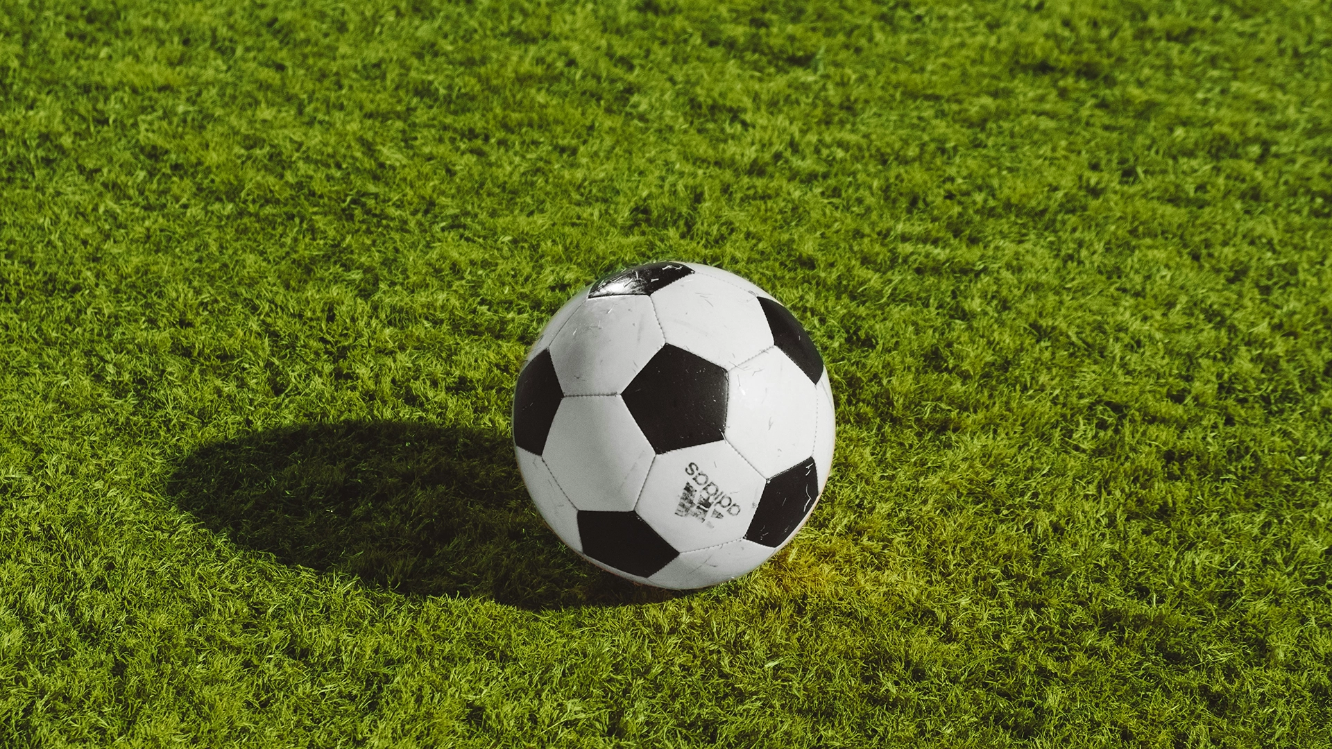 중국에서 휴머노이드 로봇들이 축구 토너먼트를 벌여